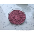 Hot Selling Red Raspberry Fruit Juice Powder